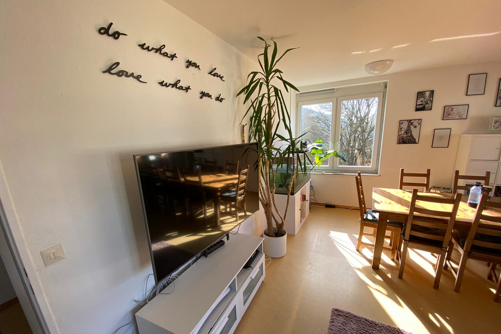 Helles Wohnzimmer mit einem großen Fernseher, einem Esstisch mit Stühlen, einer großen Zimmerpflanze und Wanddekorationen, durch ein Fenster ist der Blick nach draußen sichtbar.